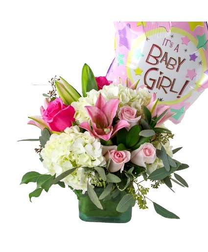 Stork Delivery Baby Girl 