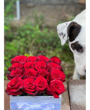 Straight Outta The Dog House Rustic Rose Box