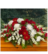 Strength and Wisdom Casket  