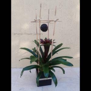 Structured Bromeliad 