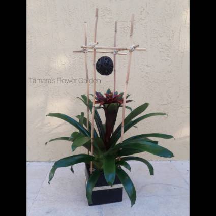 Structured Bromeliad 