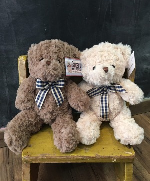 Stuffed Animal 