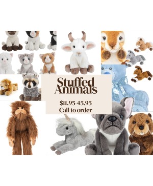 Stuffed Animal gift