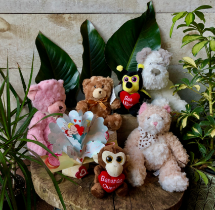 Stuffed Animals 