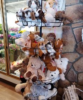 Stuffed Animals 