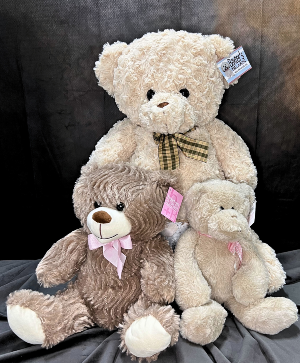 Stuffed Bear 