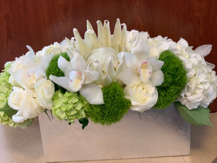 Stunning in White protea (Premium)  