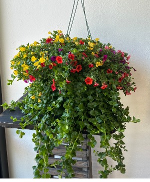 Stunning Outdoor Hanging Basket in La Grande, OR - FITZGERALD FLOWERS