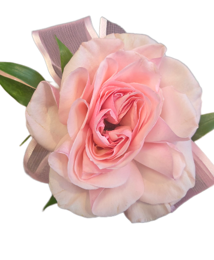 Stunning pink opened rose Wrist corsage