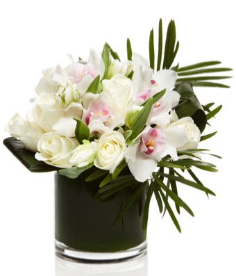 Stunning Roses & Orchids 