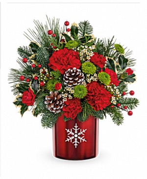 Stunning Snowflake Christmas