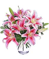 STUNNING STARGAZERS Arrangement