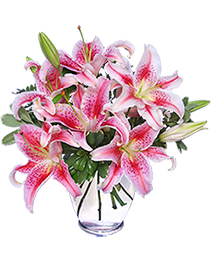 STUNNING STARGAZERS Arrangement