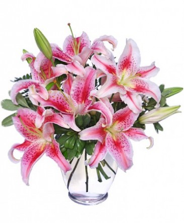 STUNNING STARGAZERS Arrangement in Katy, TX | KATY FLOWERS