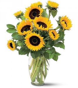Stunning Sunflowers 