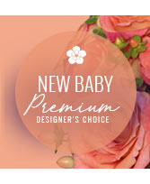 Stylish New Baby Premium Designer's Choice