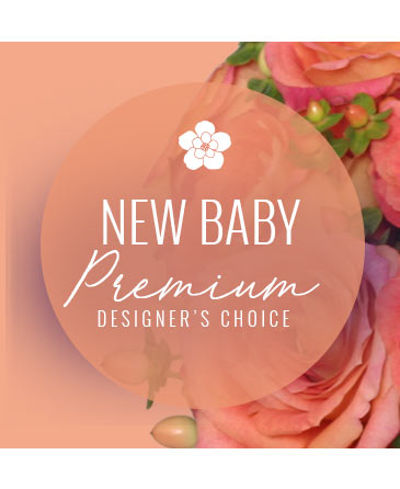 Stylish New Baby Premium Designer's Choice in Southern Pines, NC | Hollyfield Design Inc.