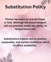 Substitution Policy 