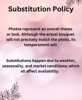 Substitution Policy 
