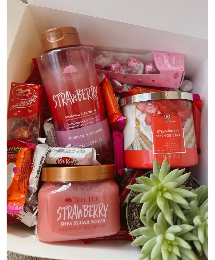 Succa For Luv Gift Box