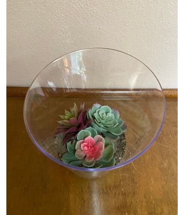 SUCCULANT GARDEN FOREVER PLANTS PERFECT NO WATER NO CARE  in Renton, WA | Alicia's Wonderland II