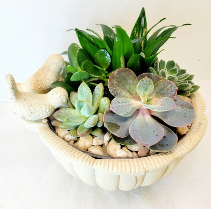 Succulent Bird Bath 