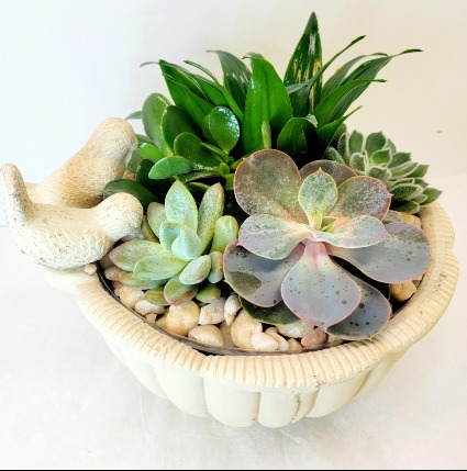 Succulent Bird Bath 