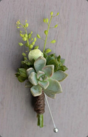 Succulent Boutonniere Boutonniere 