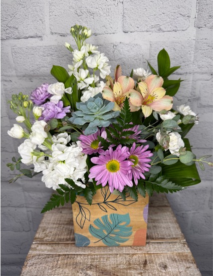 Succulent Charm & Bloom 