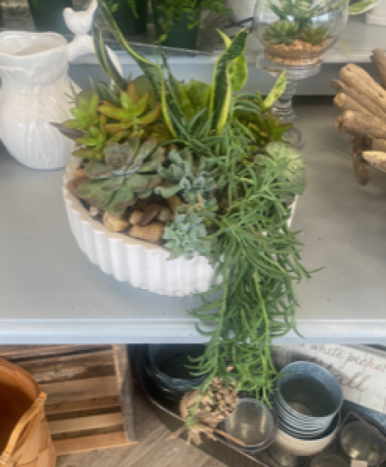 Succulent Dish Garden 