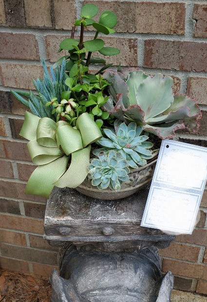 Succulent Dish Garden 