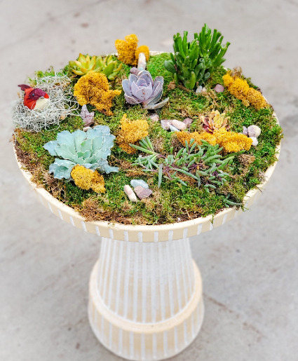 Succulent-Filled Birdbath 