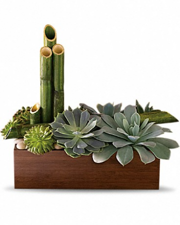 Succulent Garden 