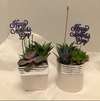 Succulent Garden 