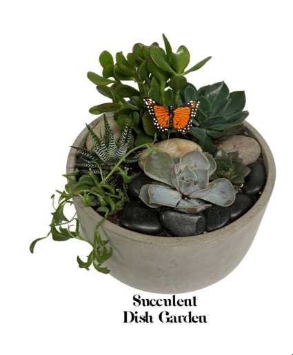 Succulent Garden Dish Garden