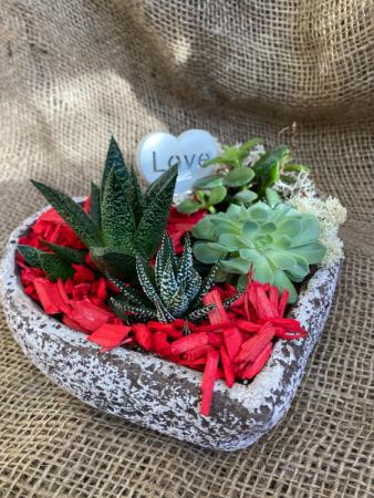 Succulent Heart  planter 