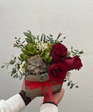 Succulent Love 
