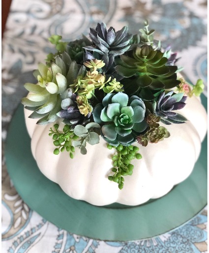 Succulent Pumpkin 