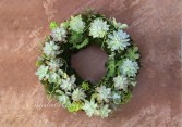 Succulent Spring Wreath Succulent Arrangement