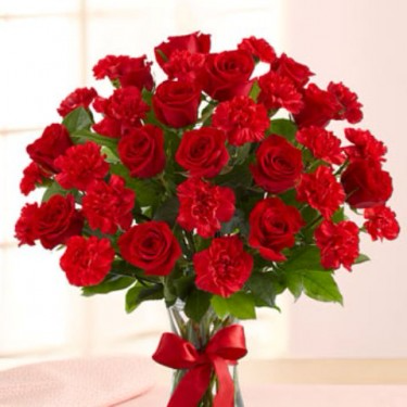 Suddenly Love 2 dz red roses and carnations 