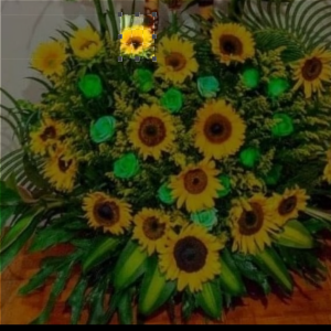 Sueño en girasoles Regalo 