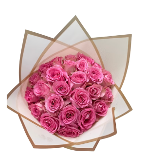 Romantic Dream | Sueño Romántico 25 Roses Wrapped | 25 Rosas Envueltas