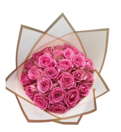 Romantic Dream | Sueño Romántico 25 Roses Wrapped | 25 Rosas Envueltas