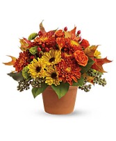 Sugar Maples arrangement 