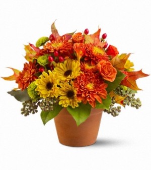 Sugar Maples Fall Arrangement