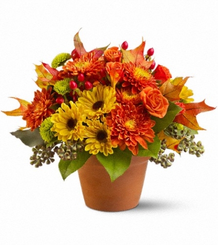 Sugar Maples Fall Arrangement