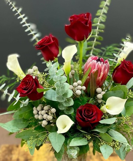 'Passionate Proteas’ 