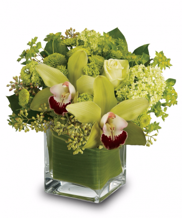green orchids &  Spring Berry green orchids & Hydrangea