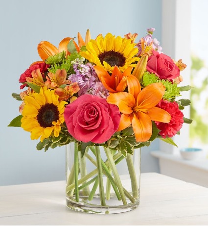 Summer & Autumn  sunflowers