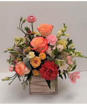 Summer Blush 